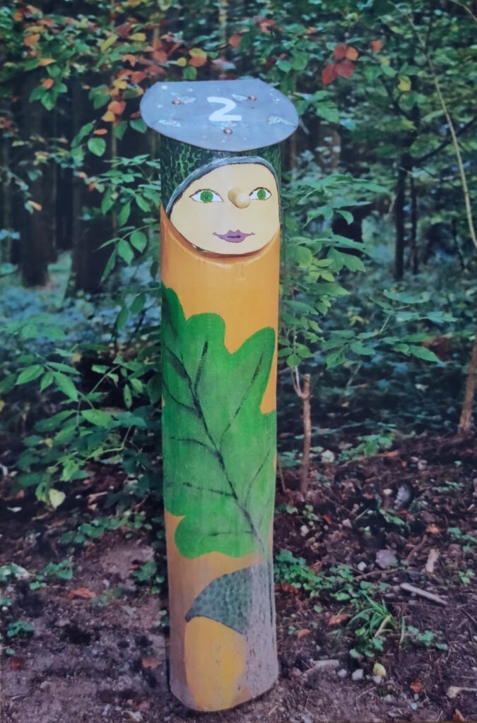 Ein Waldmännle als freundlich dreinblickende Eiche